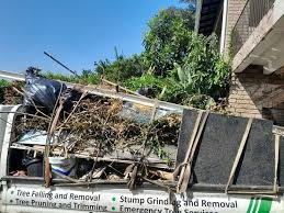  Ralls, TX Junk Removal Services Pros